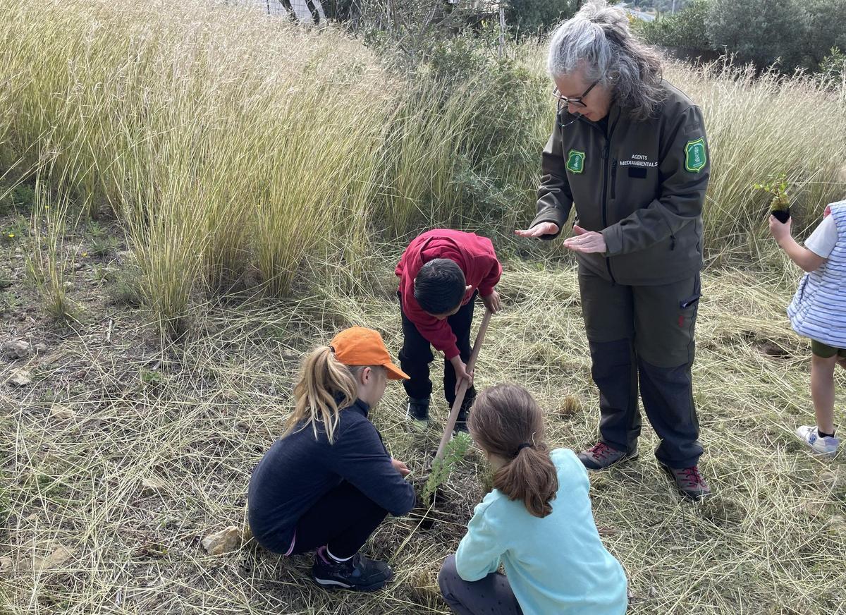 Un momento de la plantación