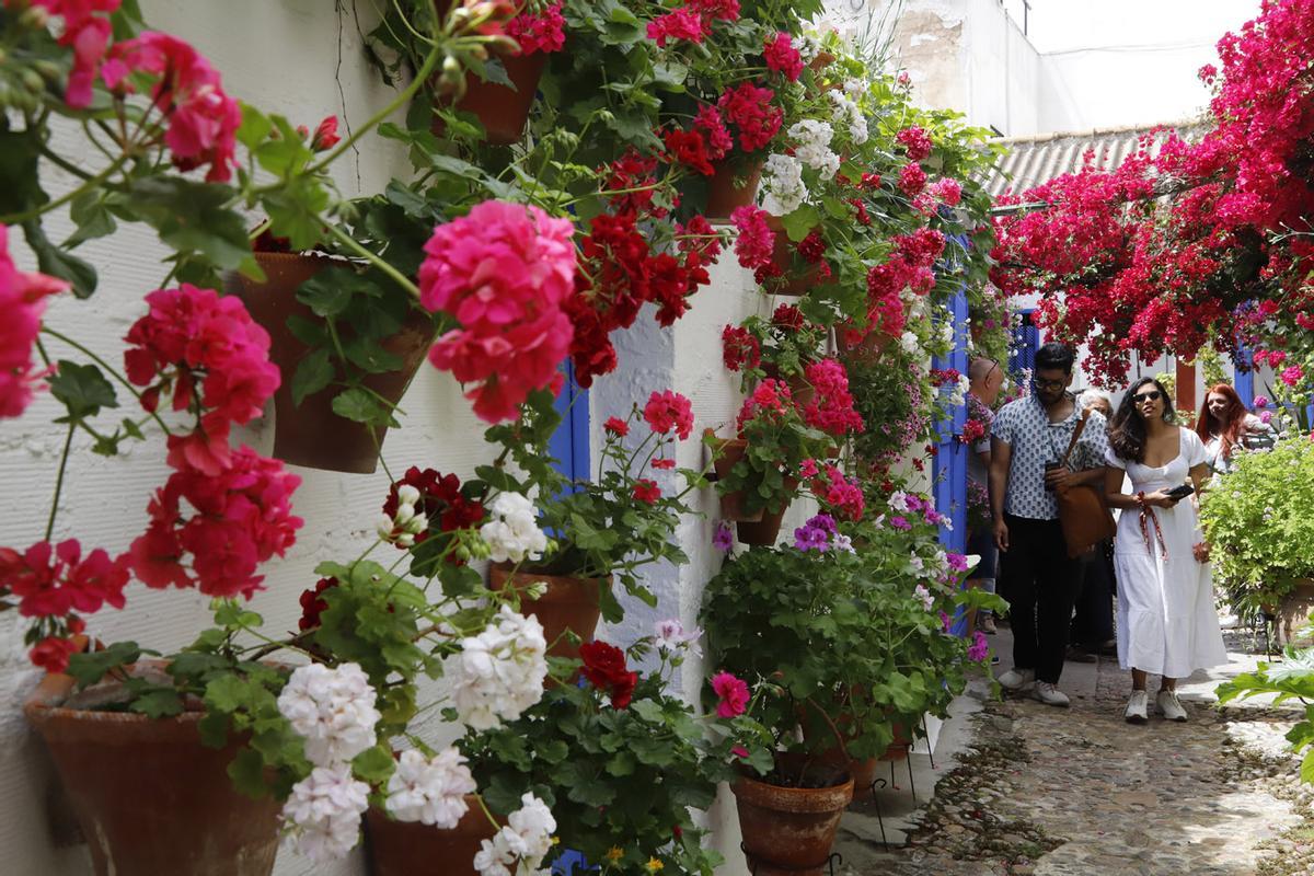 Patios de Córdoba: Marroquíes 6
