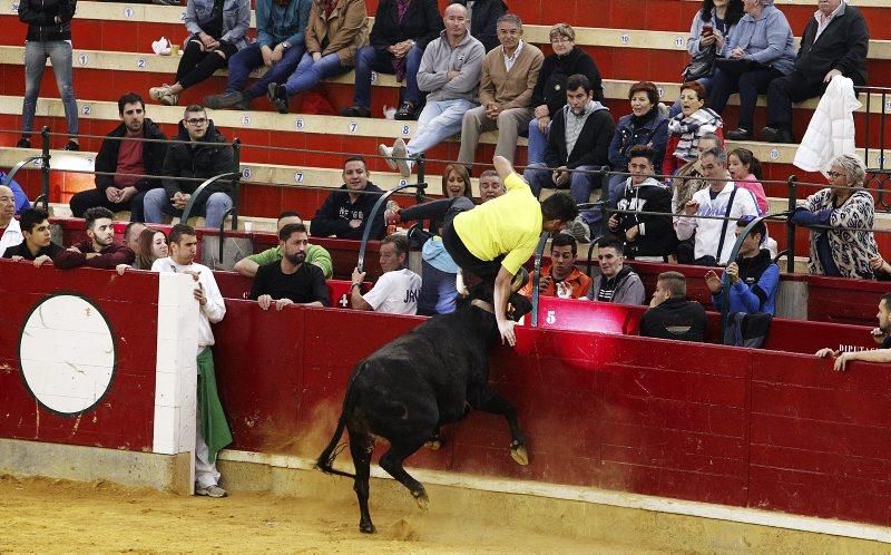 Vaquillas del 9 de octubre