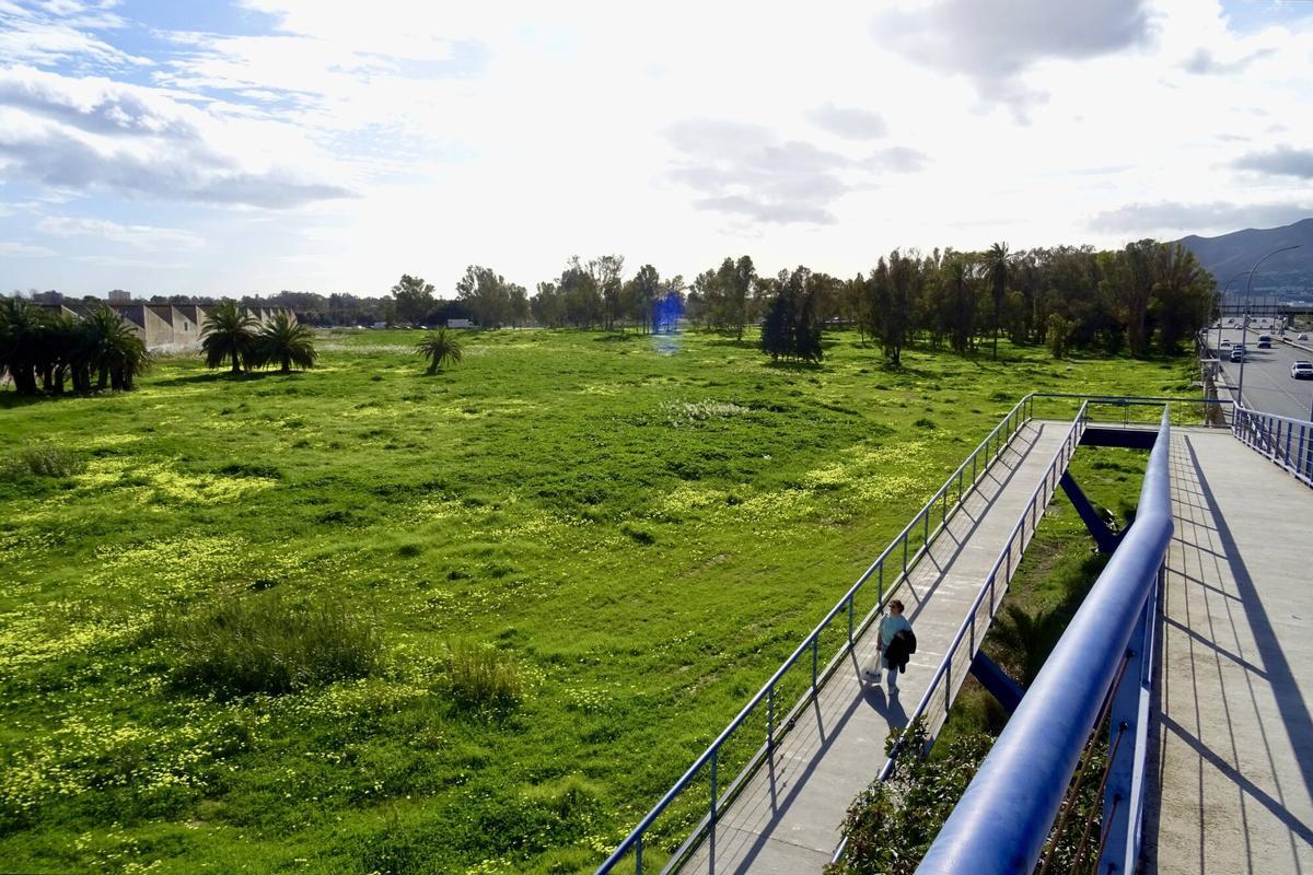 Parcela de la Azucarera, en Málaga, en la que el empresario Tomás Olivo quiere impulsar un centro comercial,