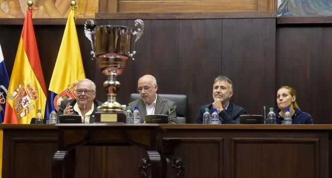 El equipo Rocasa Remudas de balonmano es ...