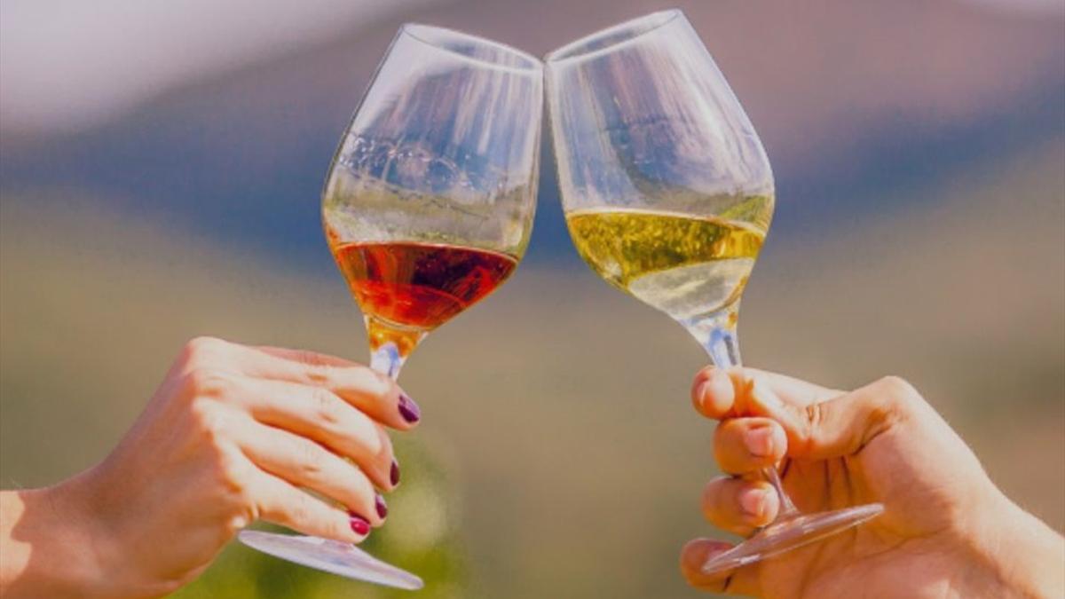 Visita el celler Empordàlia a Pau.