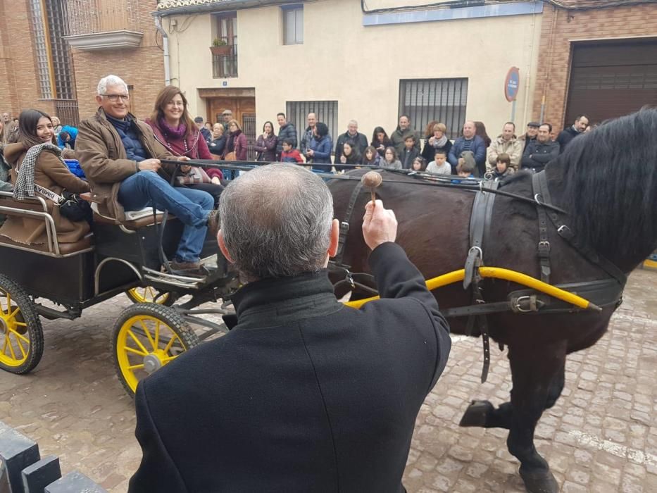 Bendición de animales en el barrio del Roca-Cuiper de Foios-Meliana.