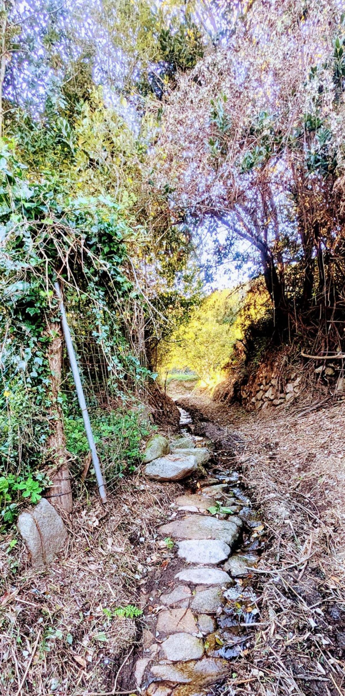 Vecinos recuperan 400 metros del camino ancestral de A Fraga