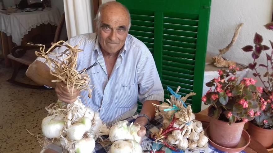 Curiosas cebollas en Manacor