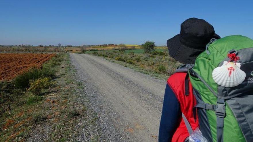 Soro destaca la utilidad del Camino de Santiago para el desarrollo económico