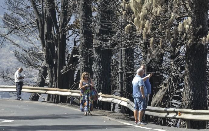 24/09/2017 CRUZ DE TEJEDA. Vuelta a la normalidad tras el incendio en la Cumbre de Gran Canaria. FOTO: J. PÉREZ CURBELO