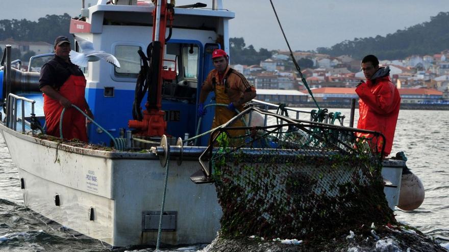 Las artes de pesca prohibidas pueden salvar el marisqueo