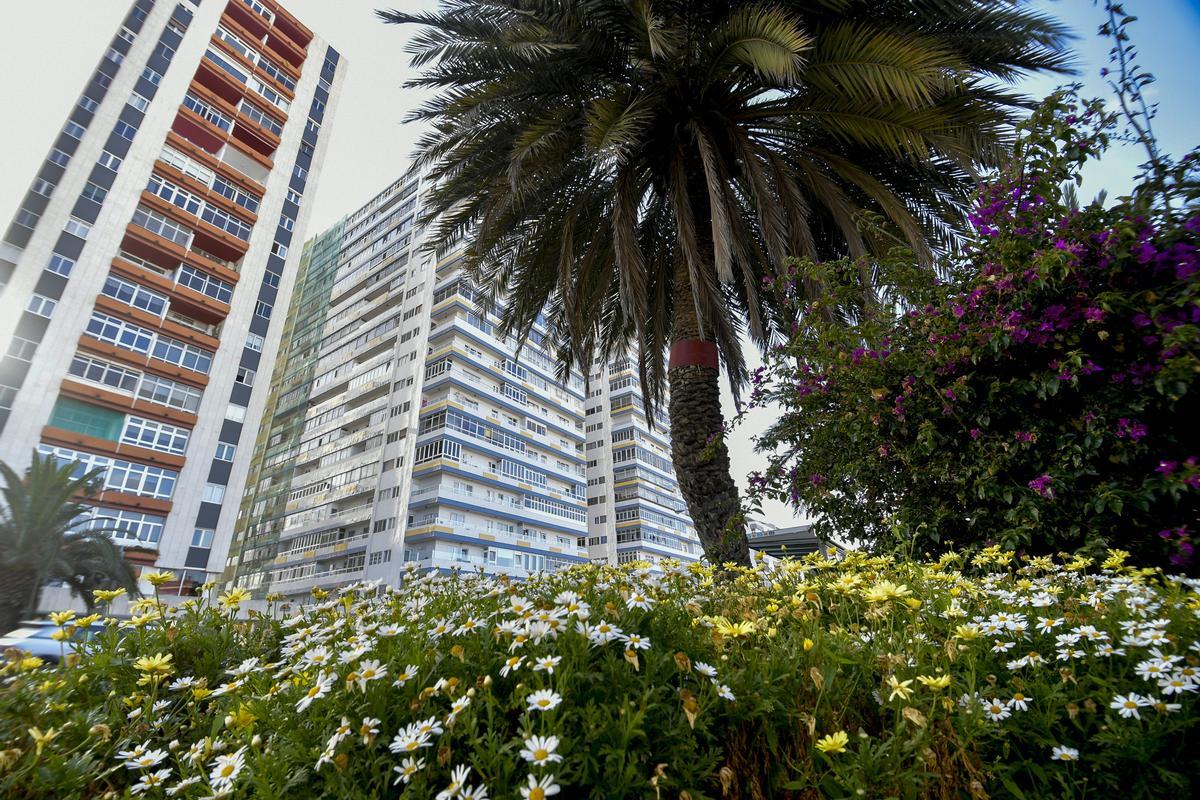 El edificio Atlántico y las torres Virgen del Pino, en Escaleritas.