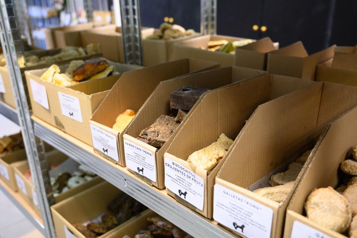 En imágenes | Así es la primera pastelería para mascotas en Aragón