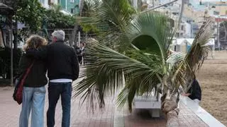 Paseos por Las Canteras, compras en Triana: Las Palmas de Gran Canaria vuelve a la calle tras el paso de Emilia