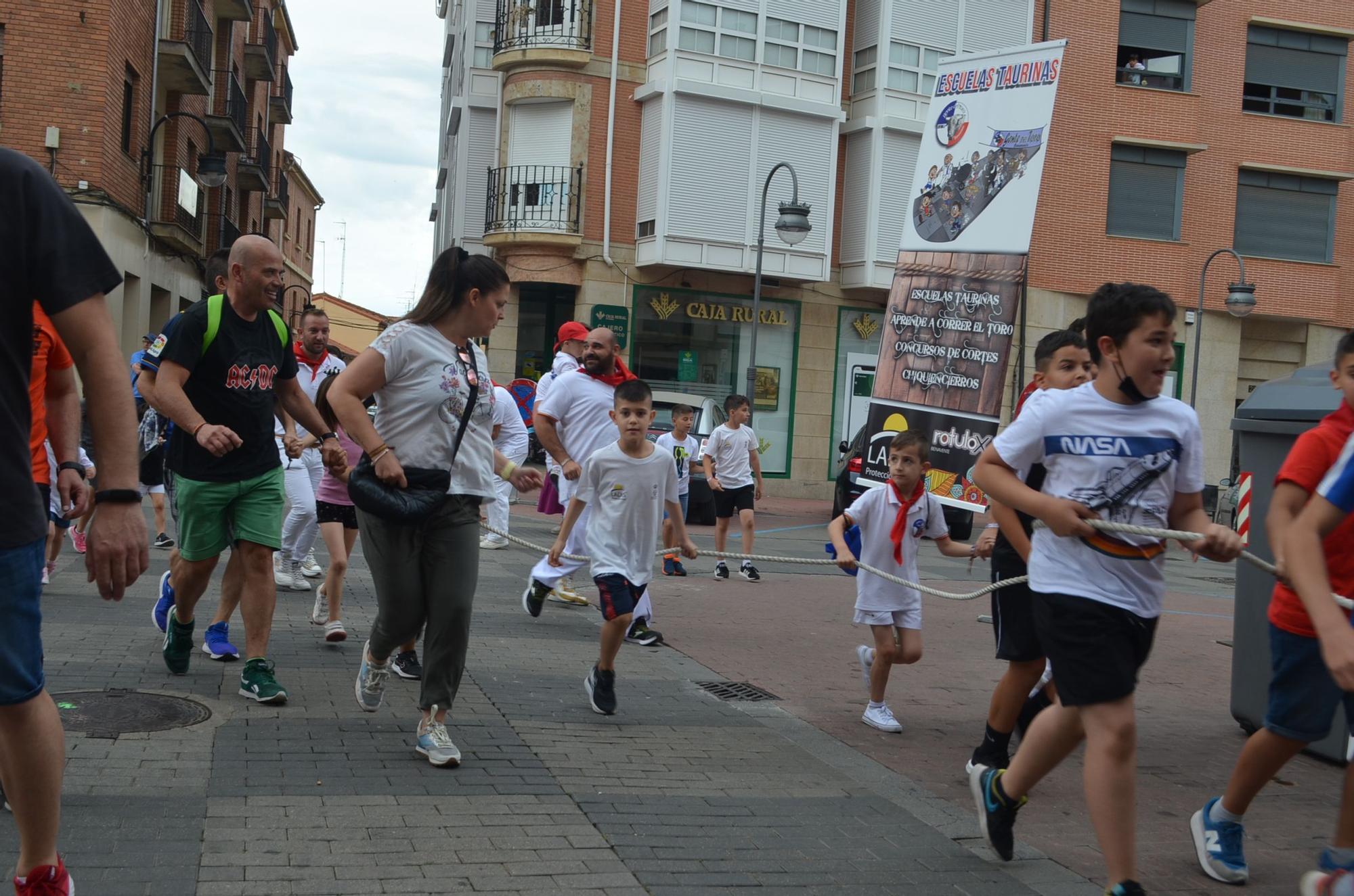 Fiestas del Toro: Así corren los carretones en Benavente