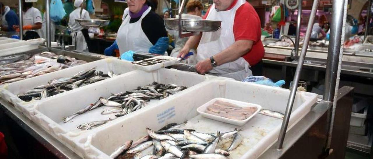 Venta de sardina en un puesto de la Plaza de Abastos de Pontevedra. // Rafa Vázquez