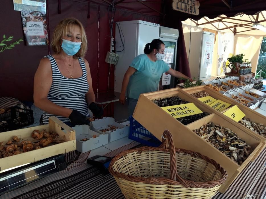 Mercat del Bolet de Cal Rosal