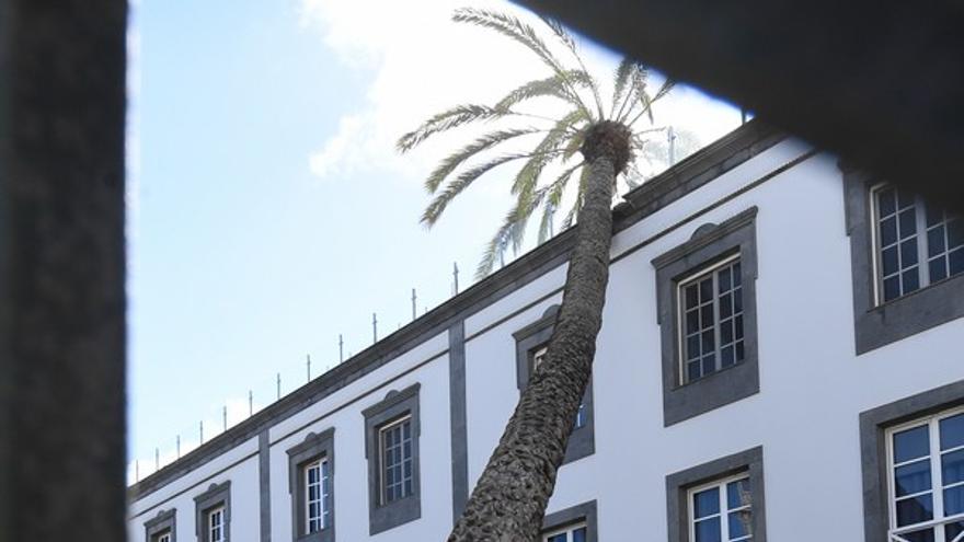 Una palmera se estrella contra un edificio en la Alameda de Colón