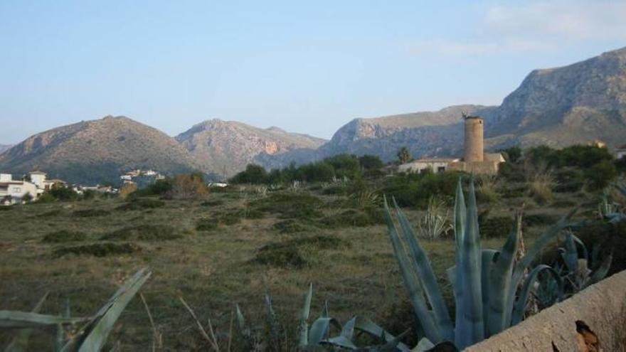 Dieses Gebiet in Colònia de Sant Pere wollte die Gemeinde Artà bebauen lassen.