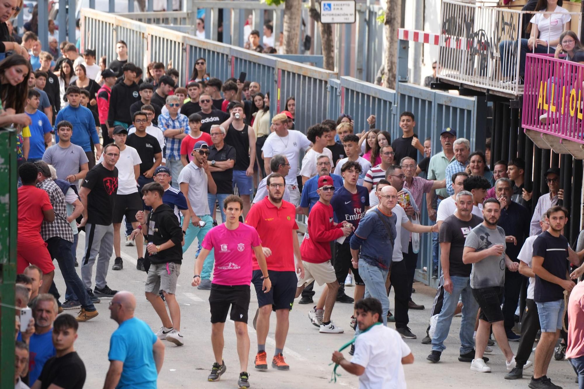 Las imágenes de la jornada de martes de las fiestas de Sant Pasqual de Vila-real