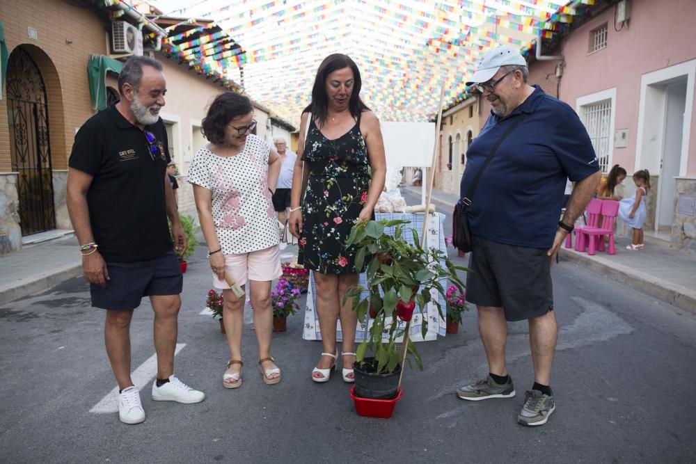 Las mejores fotografías de las fiestas de San Gabriel en Alicante 2019