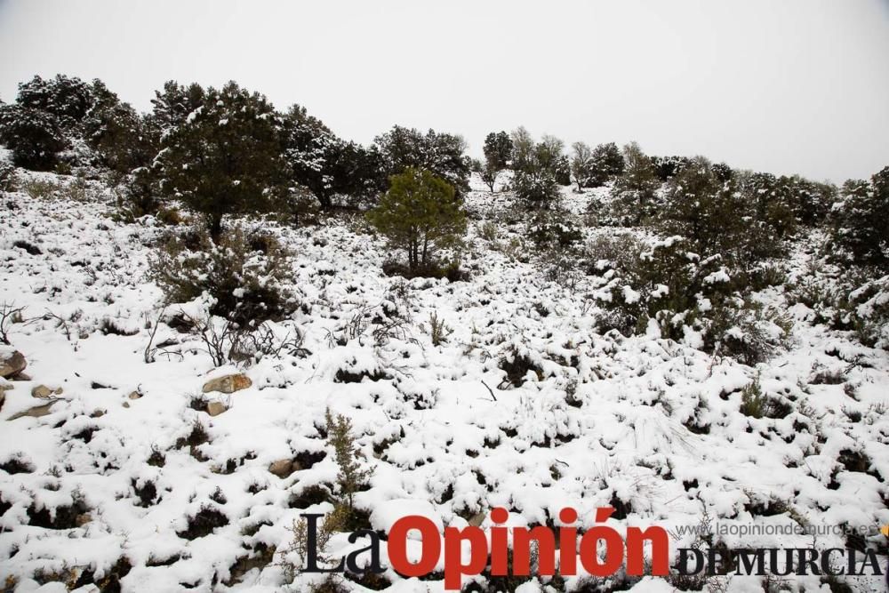 Nieve en el Noroeste