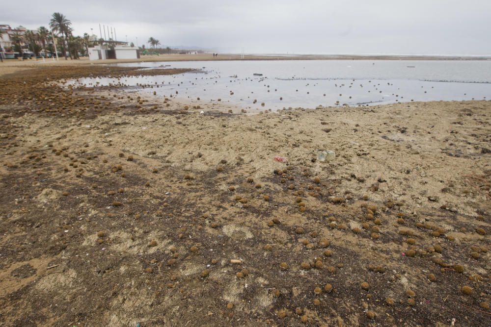 Las playas de la Malva-rosa, el Cabanyal y la Marina tras el temporal marítimo.