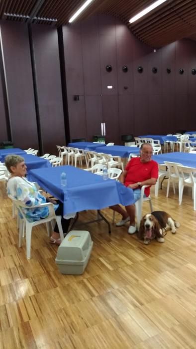 Los desalojados esta mañana en Barx han sido acogidos temporalmente en el Palacio de Congresos de Gandia.