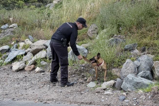 Reportaje a la Unidad Canina de la Policia ...