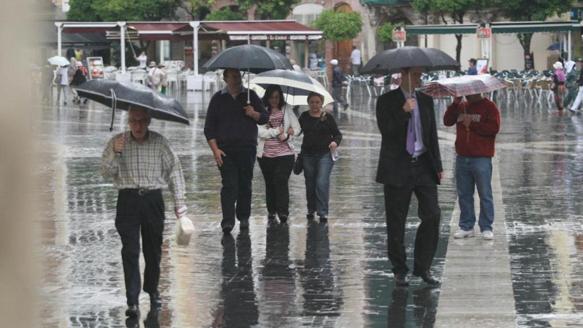 Varias personas pasean con paraguas por las calles del centro de Murcia.