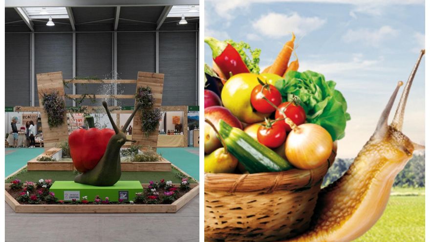 Ecocultura en Zamora | Programa y horario de la feria de productos ecológicos: catas, talleres, charlas...