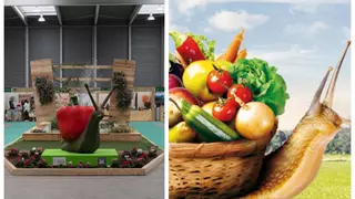 Ecocultura en Zamora | Programa y horario de la feria de productos ecológicos: catas, talleres, charlas...