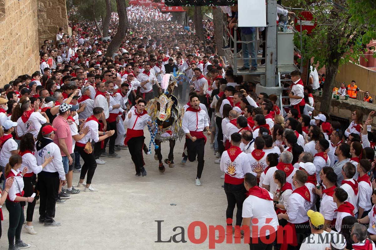 Así ha sido la carrera de los Caballos del Vino en Caravaca