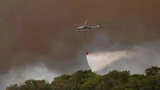Neuer Waldbrand in Spanien: Hotels, Siedlungen und ein Campingplatz in der Nähe von Tarifa geräumt