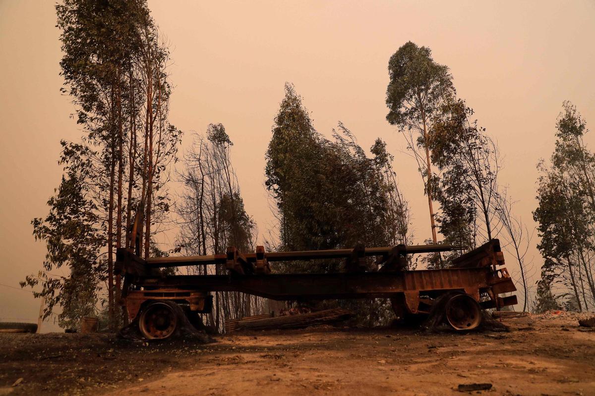 Los incendios que arrasan Chile dejan ya más de 20 muertos