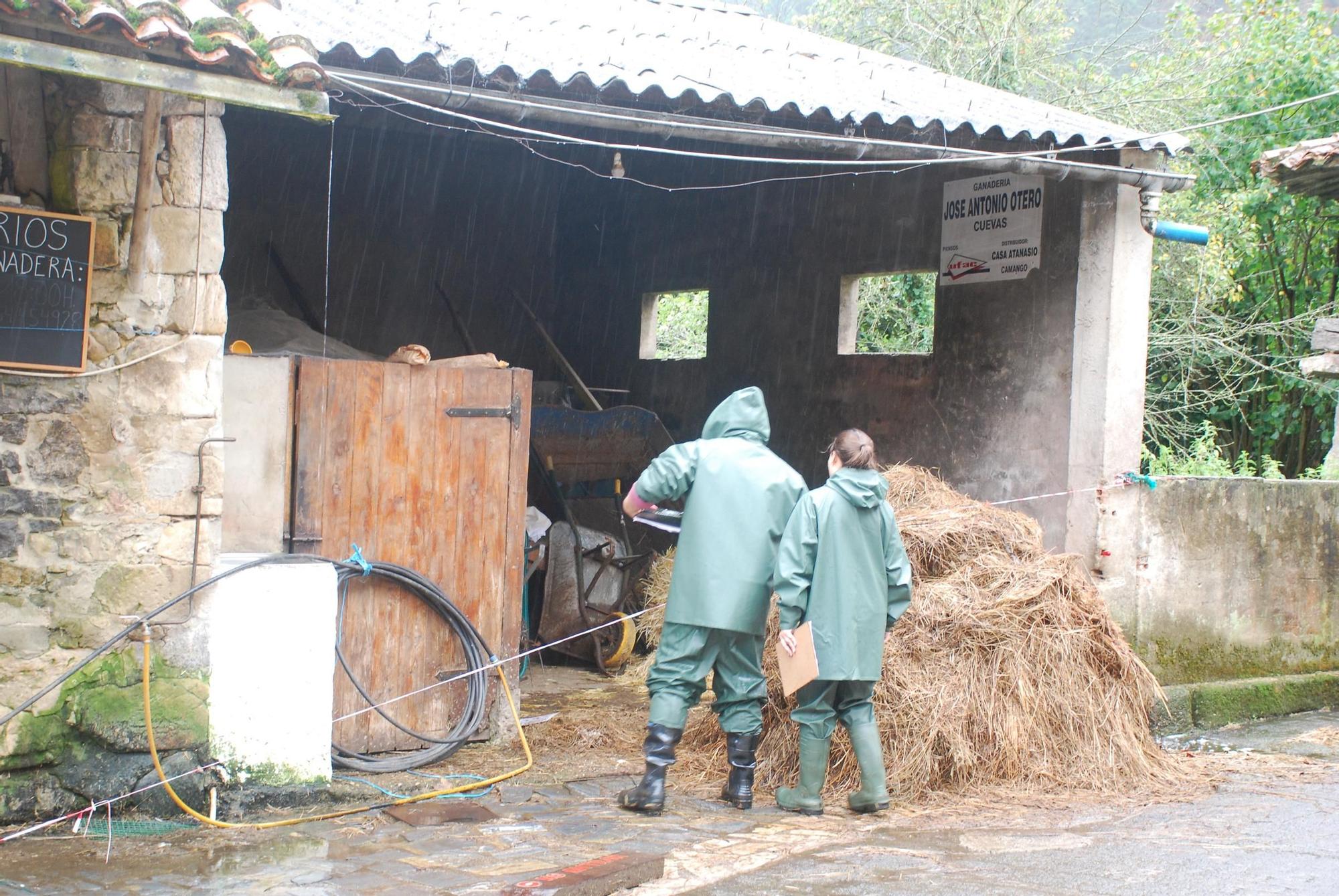 Crimen de Cueves (Ribadesella)