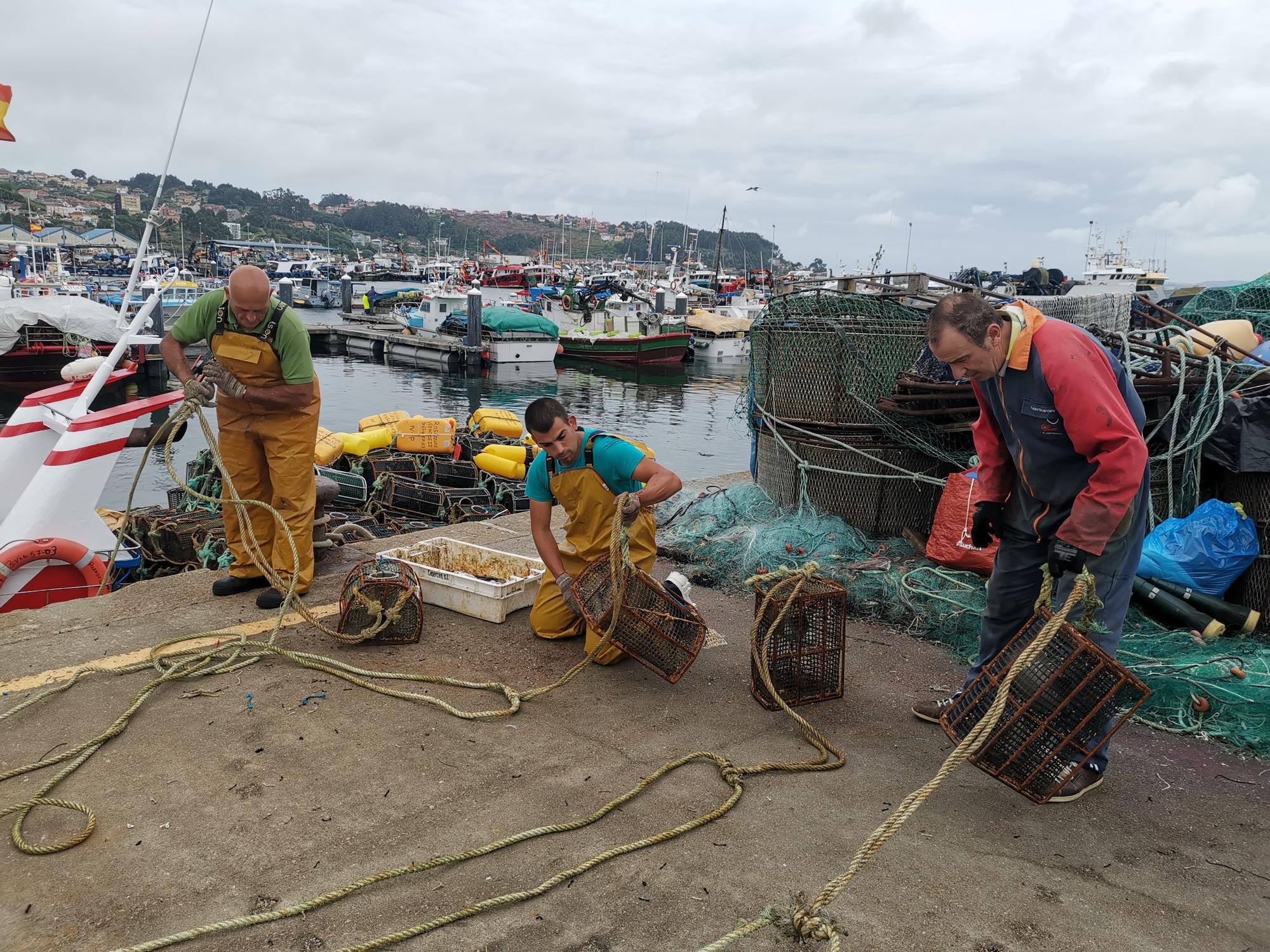 Marineros de Bueu preparando las nasas para hoy.