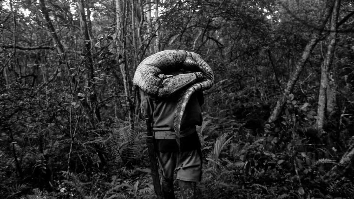 „Al oeste, en Zapata“läuft am 26. und 29.11.