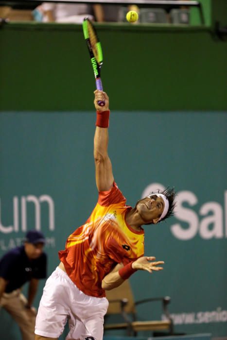 DAVID FERRER- TOMMY HAAS