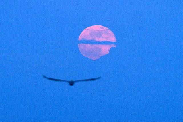 Fotogalería: Así se ha visto la superluna en el mundo