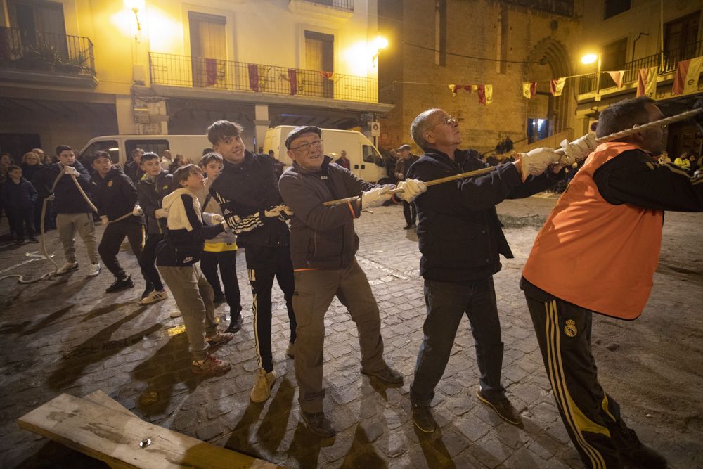 Sant Antoni arranca en Sagunt con la tradicional Plantà del Pi