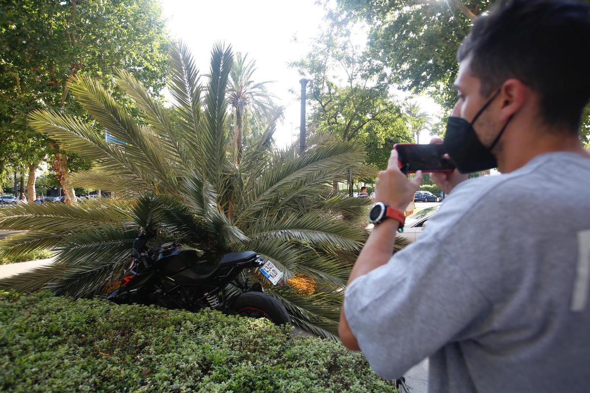 Una moto se encontraba aparcada en la acera sobre la que ha caído la palmera.