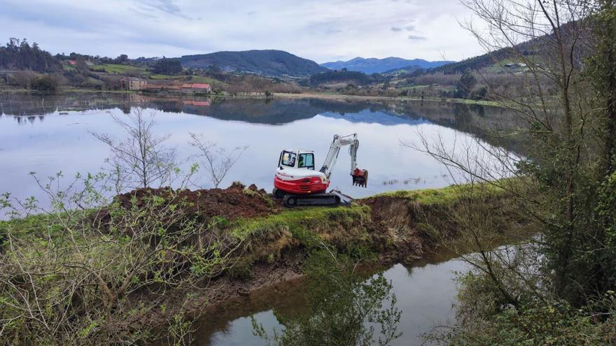 Trabajos para evacuar los porreos inundados en la ría de Villaviciosa, el pasado mes de febrero. | Alicia García-Ovies