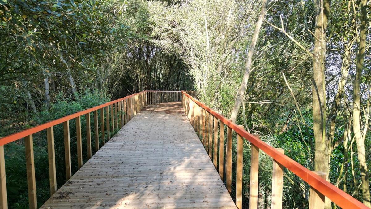 Pateira de Fermentelos, la laguna «dormida» de Portugal