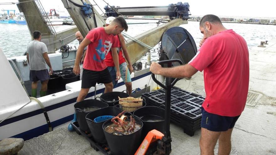 Pescadores con sus capturas en el puerto de Caleta de Vélez.  f. extremera