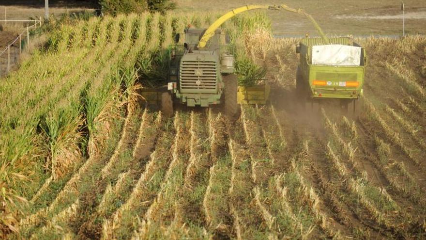 El precio de la tierra agraria crece pero sigue por debajo de hace una década