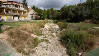 De piscina natural a secarral: así está el Riu Nou en l'Alcúdia de Crespins