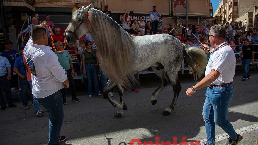 Pasacalles caballos del vino al hoyo