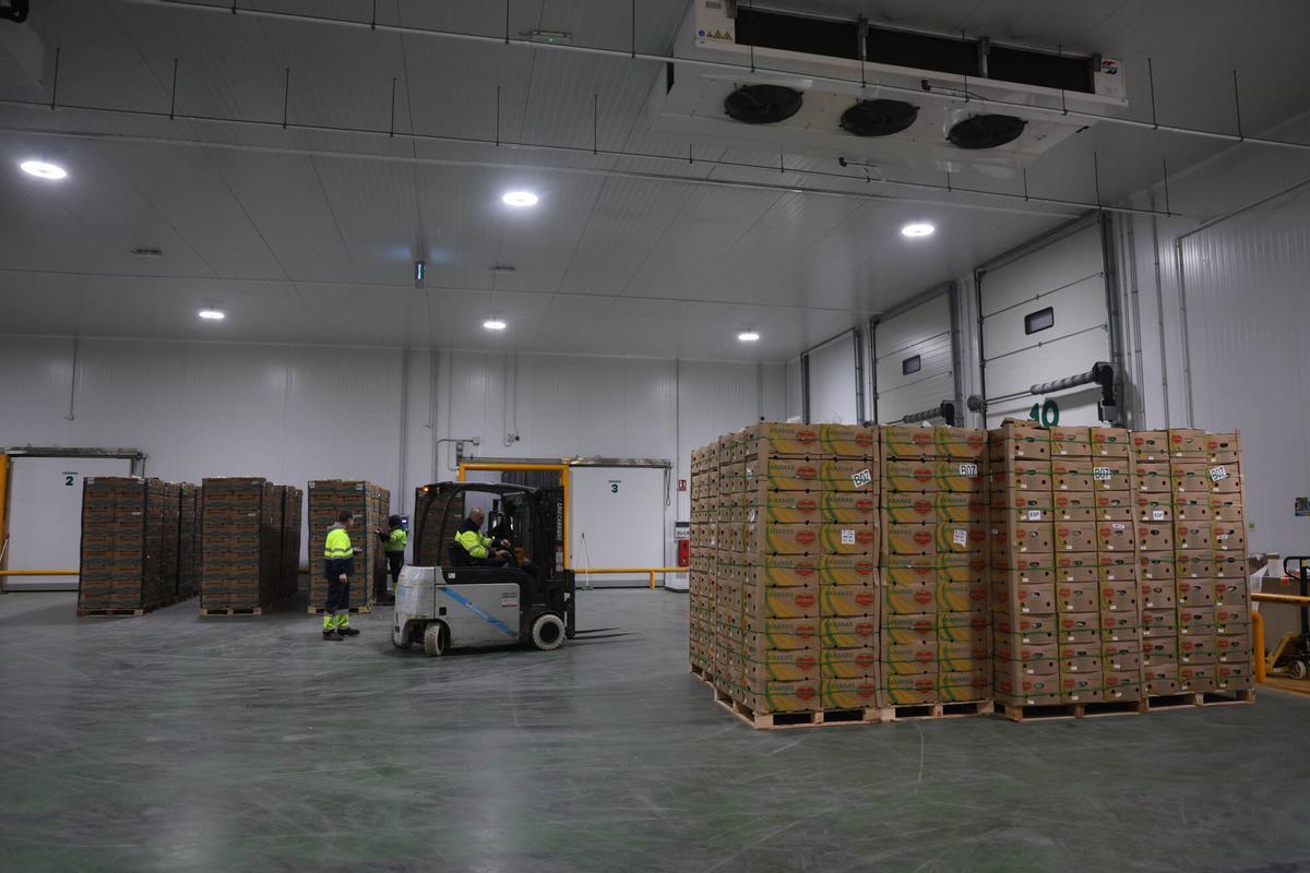 Vigo, Puerto. Fotos en Termavi (y alguna de vistas a la ciudad desde una grúa)