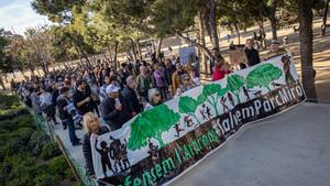 Los vecinos del parque Joan Miró vuelven a pedir que se mantenga la arboleda