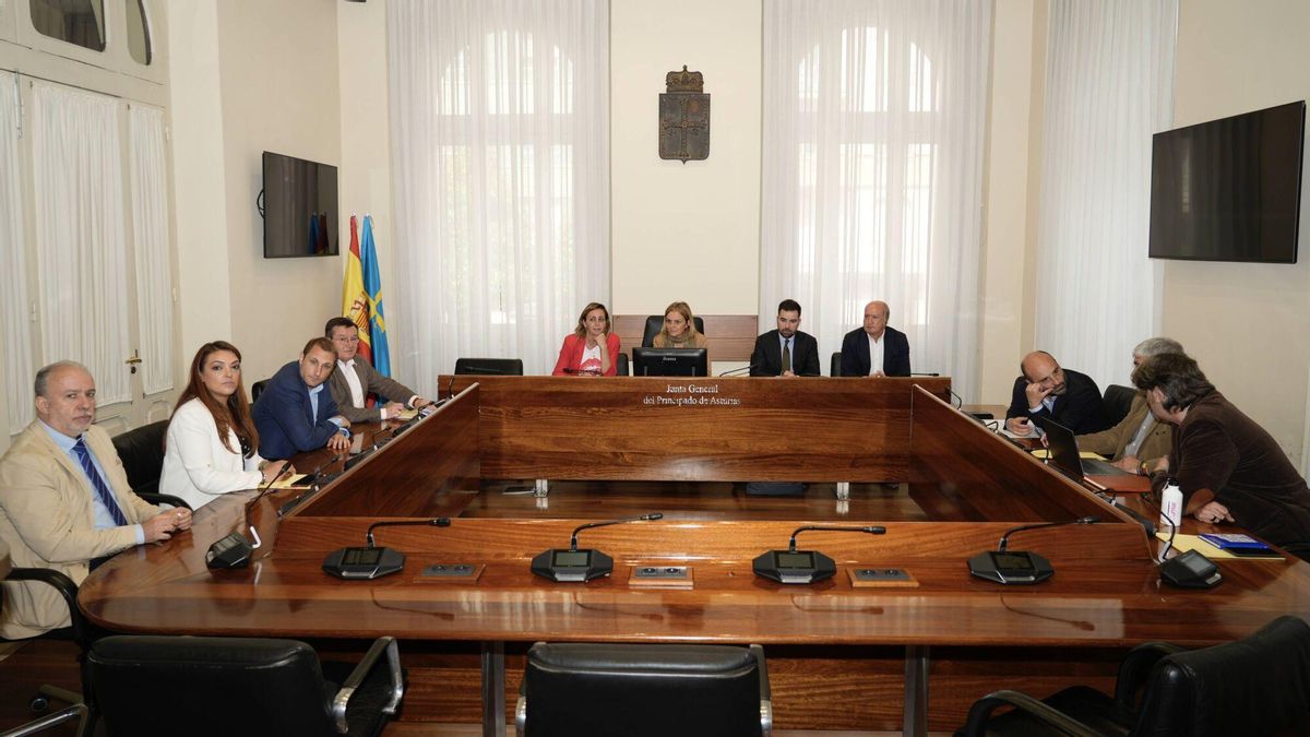 Los integrantes de la comisión de investigación en la Junta sobre el accidente minero de Cerredo.