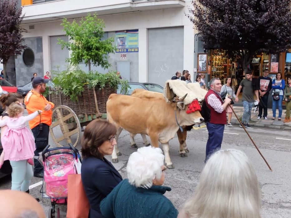 San Xuan en Mieres