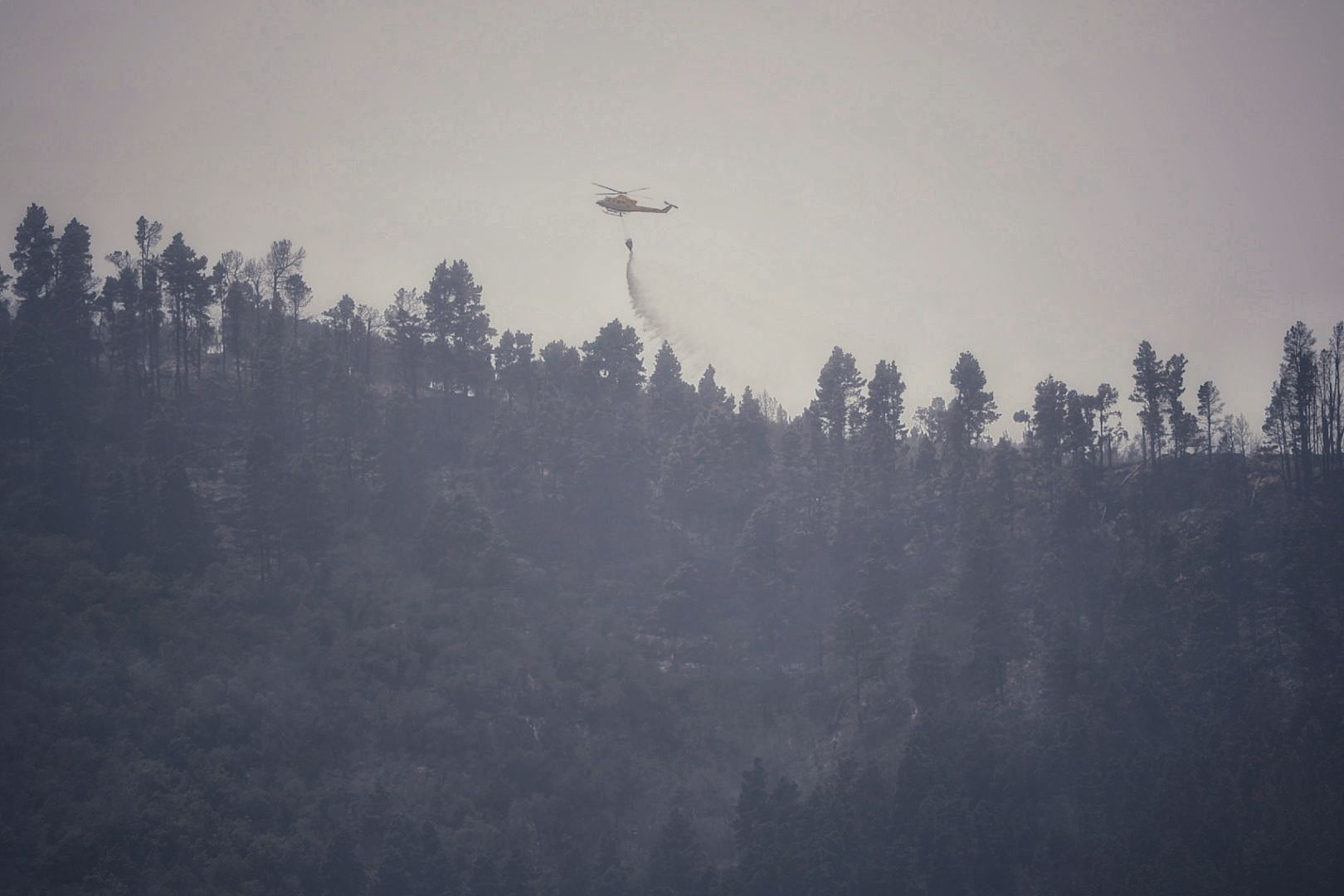 Incendio del norte de Tenerife (25/07/2022)